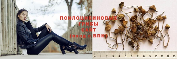 крисы Алексеевка