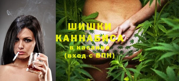 шишки Алзамай