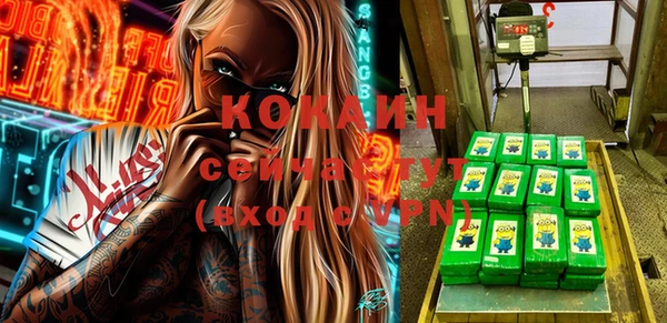 шишки Алзамай