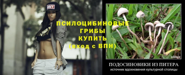 шишки Алзамай