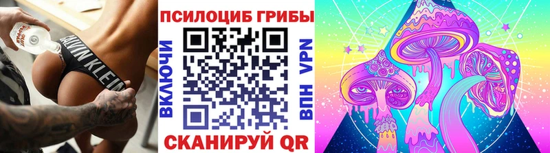 сайты даркнета состав Киржач Галлюциногенные грибы прущие грибы